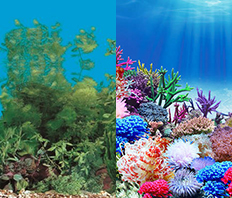 Фон двусторонний "Коралловый рай/Подводный пейзаж" (h - 60 см), пог.дм.