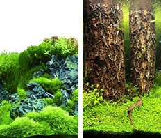 Фон "Затопленный лес/Камни с растениями" 50x100 см двухсторонний для аквариума (9086/9087)