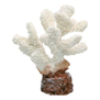 Коралл Vitality пластиковый белый 10.2х7.2х12 см