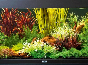 Искусственные растения для аквариума светящиеся