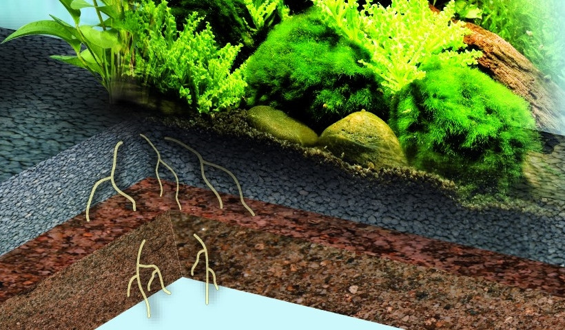 Схематичное расположение питательного грунта и подложки в растительном аквариуме